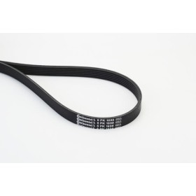 Curea accesorii Continental 6PK1698