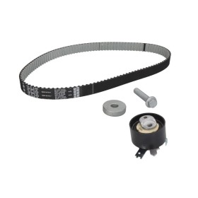 Set curea distributie Duster Euro 6 INA 530 0843 10